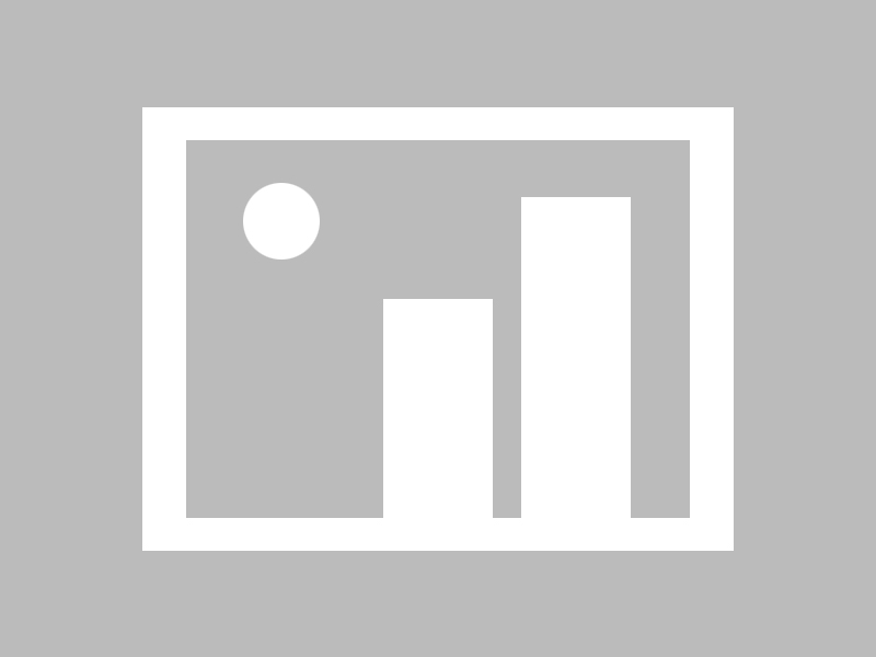 开云中国大陆-巴朗加国王防守端表现稳固，巴朗barron