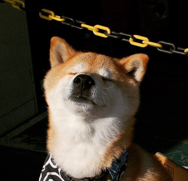 开云官方-_热火坚守防线，迎来关键胜利_，热火揭幕战