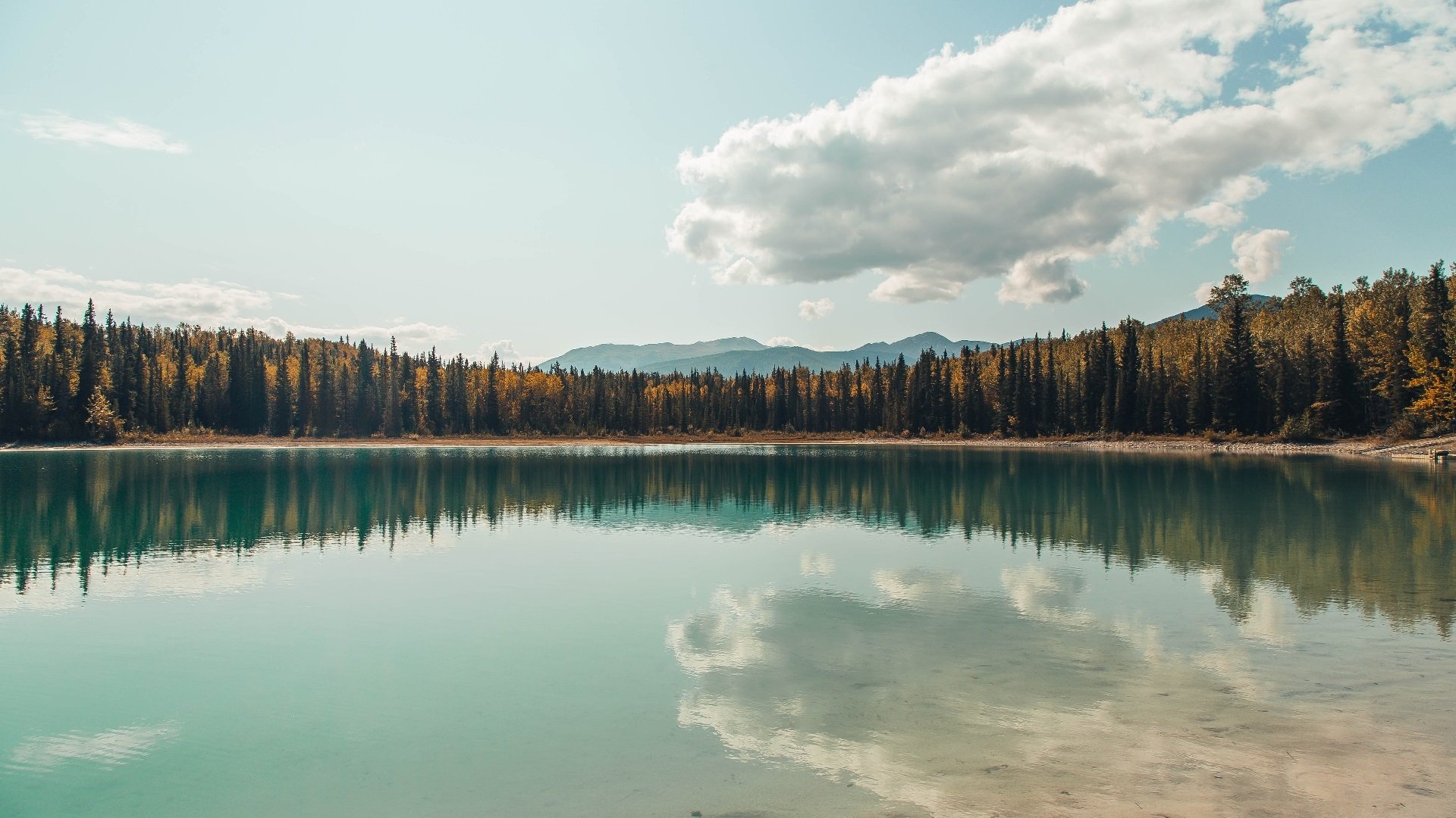 _篮网状态火热,持续领跑联盟_,篮网状况