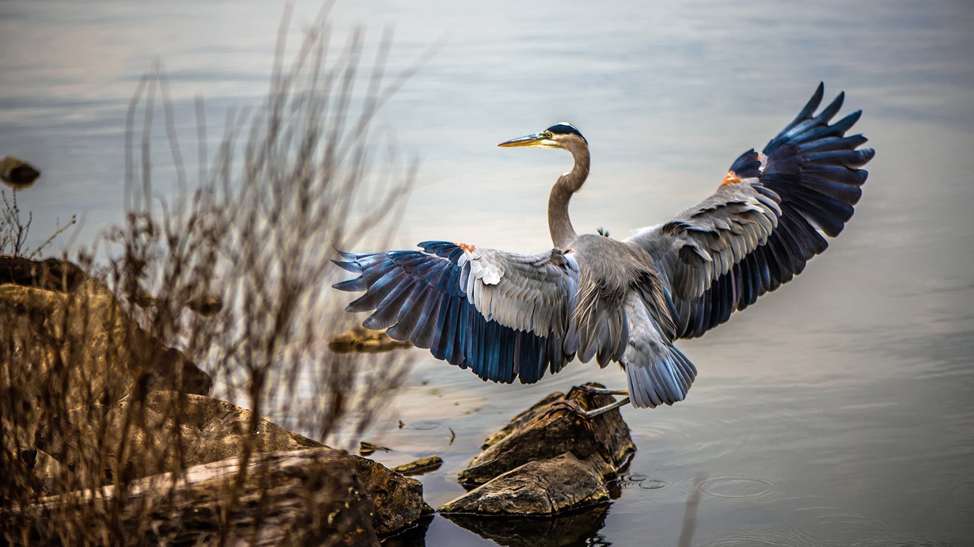 _运动科技大数据:助力运动员赢在起点_,运动员数据分析软件