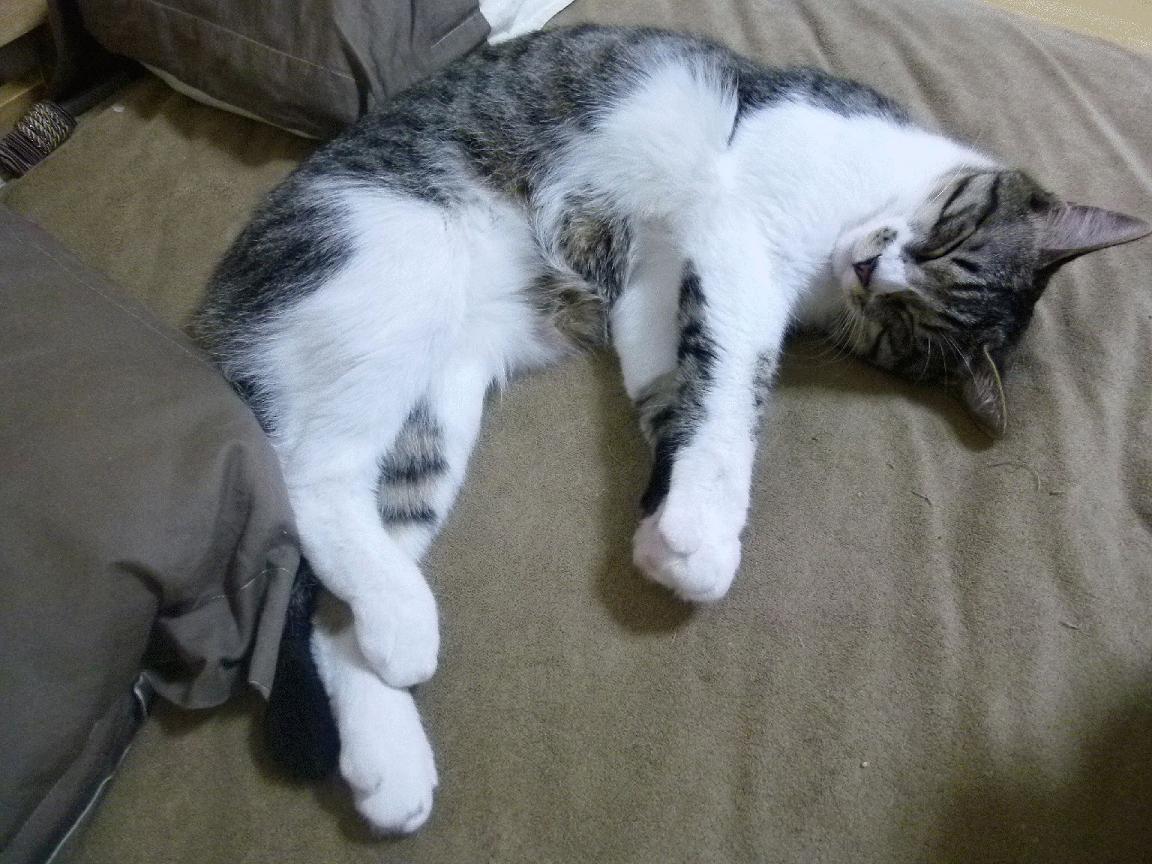 _魔术逆转佳绩,士气大爆发_,魔术师逆