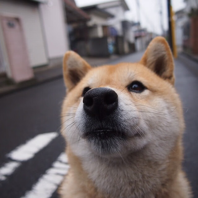 武汉三镇客场表现稳定，积分稳步上升，武汉三镇吧