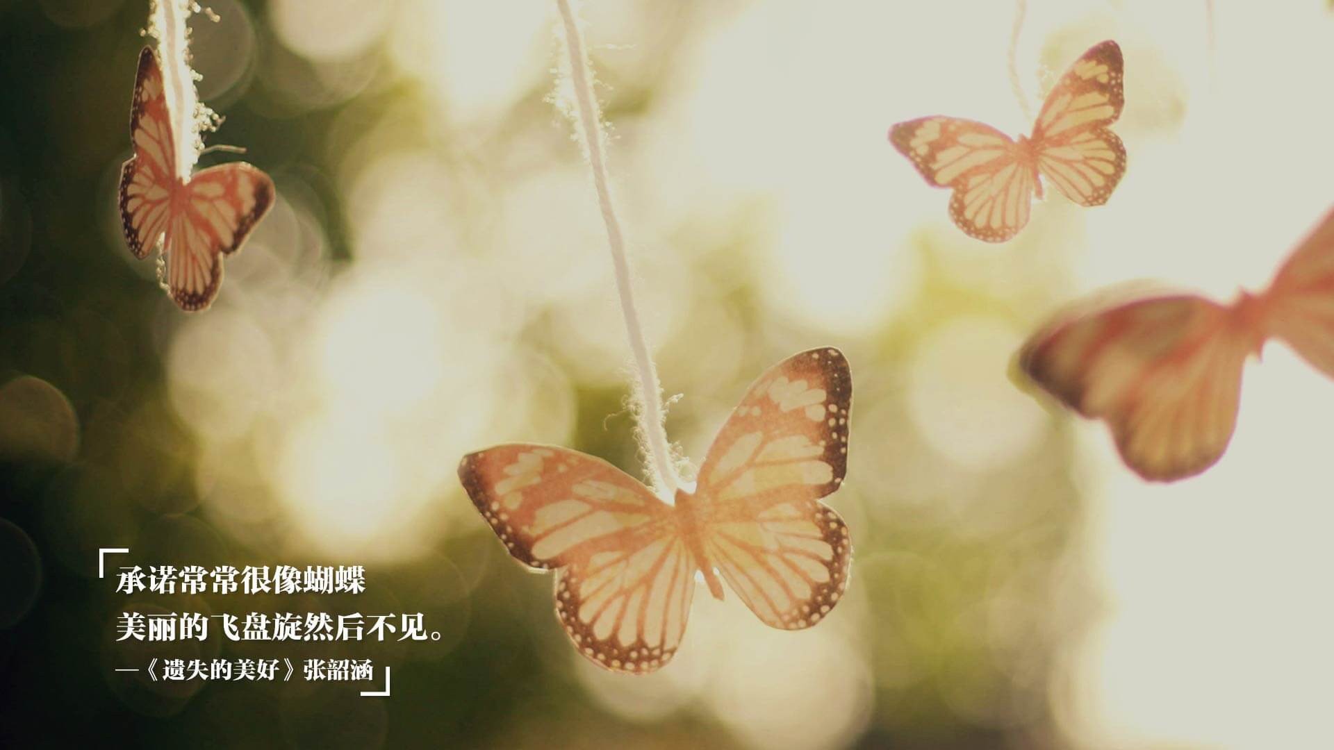 开云官网-球迷狂欢：主场氛围引爆全场的精彩瞬间，球迷活动