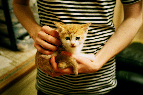 开云体育-电子竞技的法学研究：权益保护与法律规范，电子竞技相关的政治法律环境