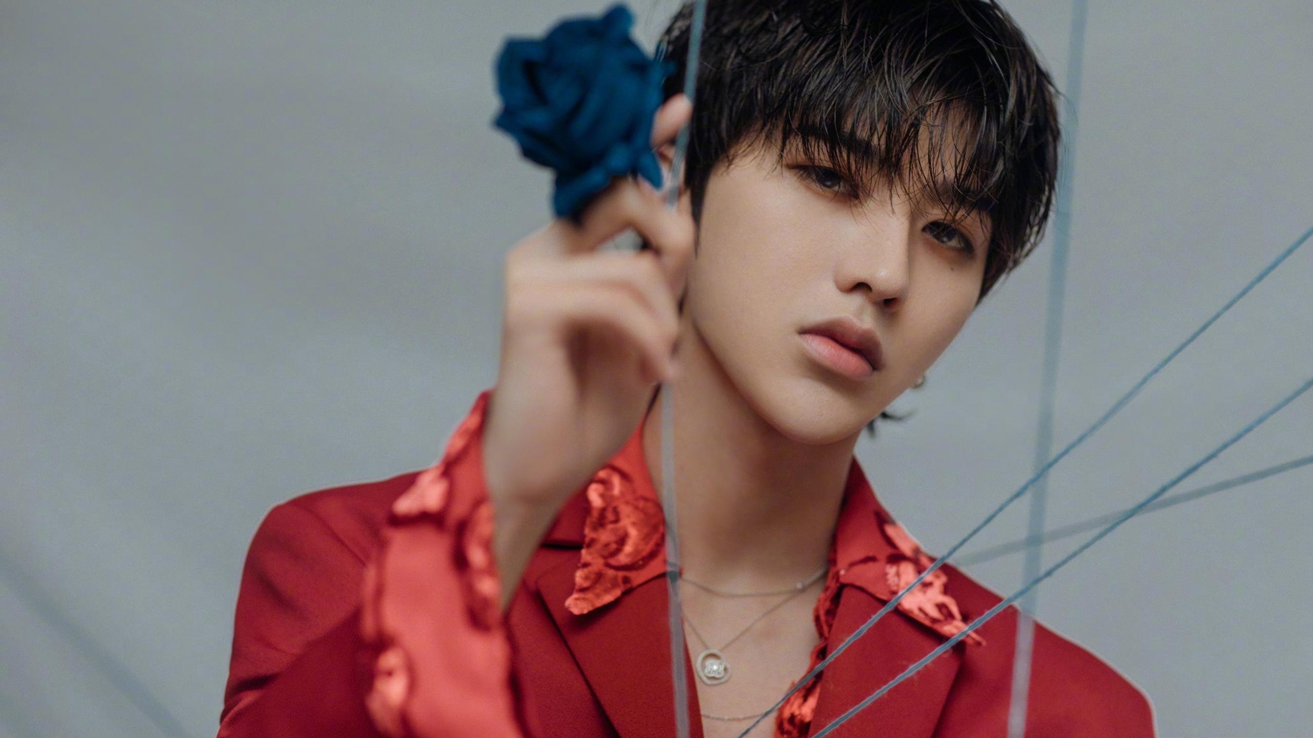 莱比锡红牛连续赢球,目标冲击德甲冠军,莱比锡红牛是哪个联赛的球队