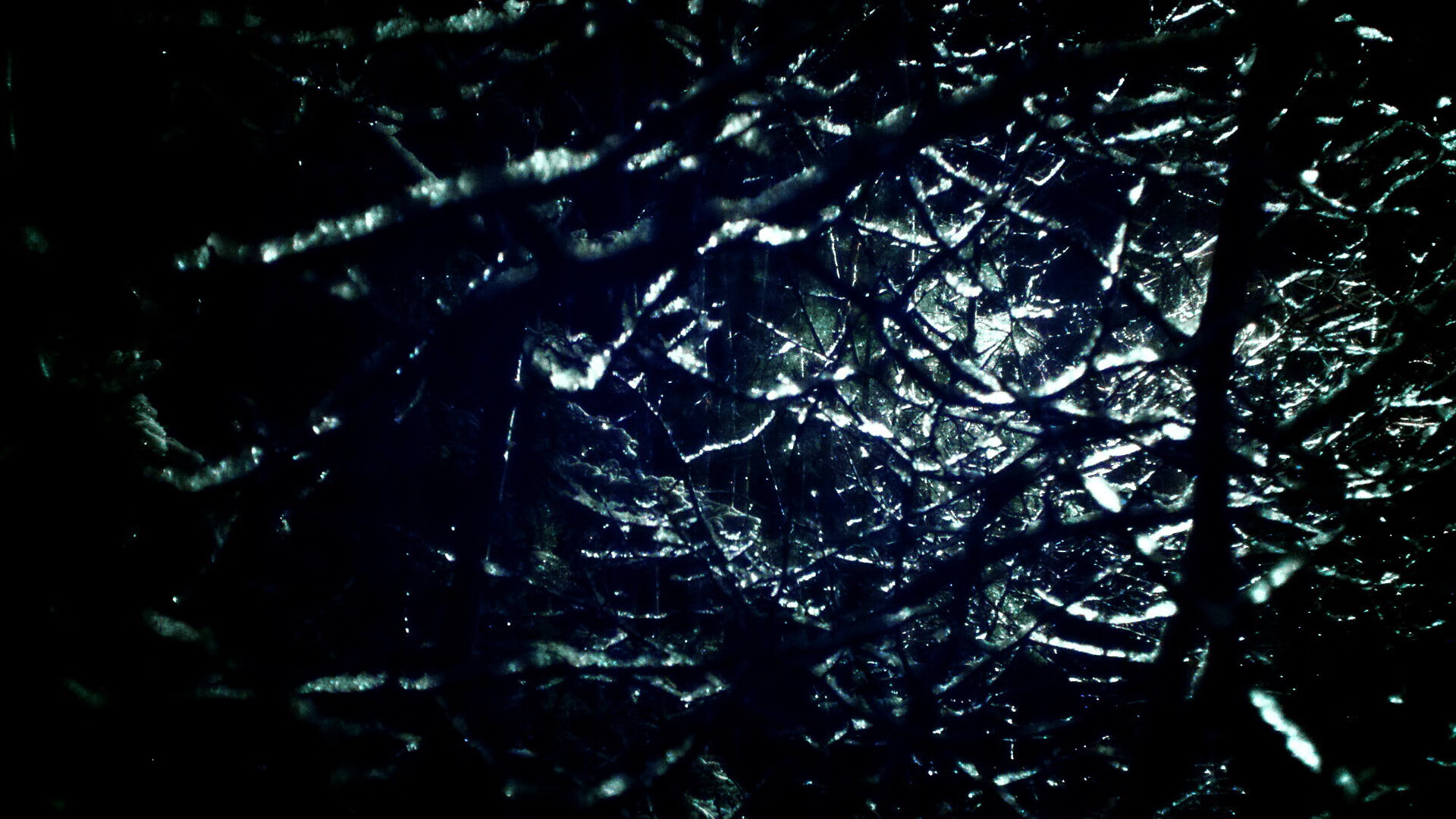 青训基地全面升级：打造未来篮球之星的沃土，青年篮球训练基地要多少钱