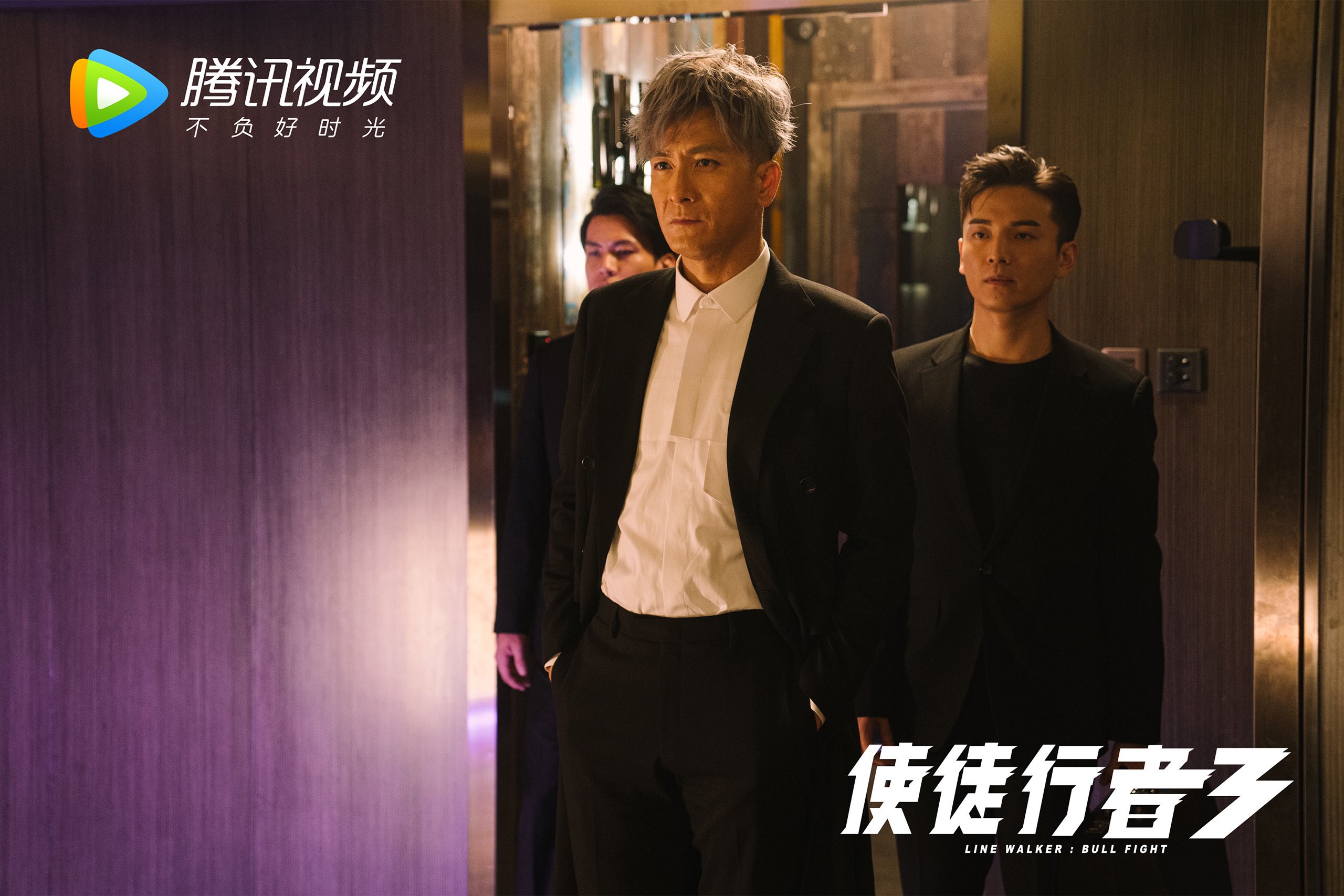 全明星阵容亮相,谁能成为焦点?,全明星阵营