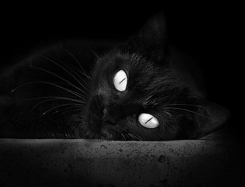 开云kaiyun-凯撒酋长青训球员升入一线队，展现潜力，凯撒king