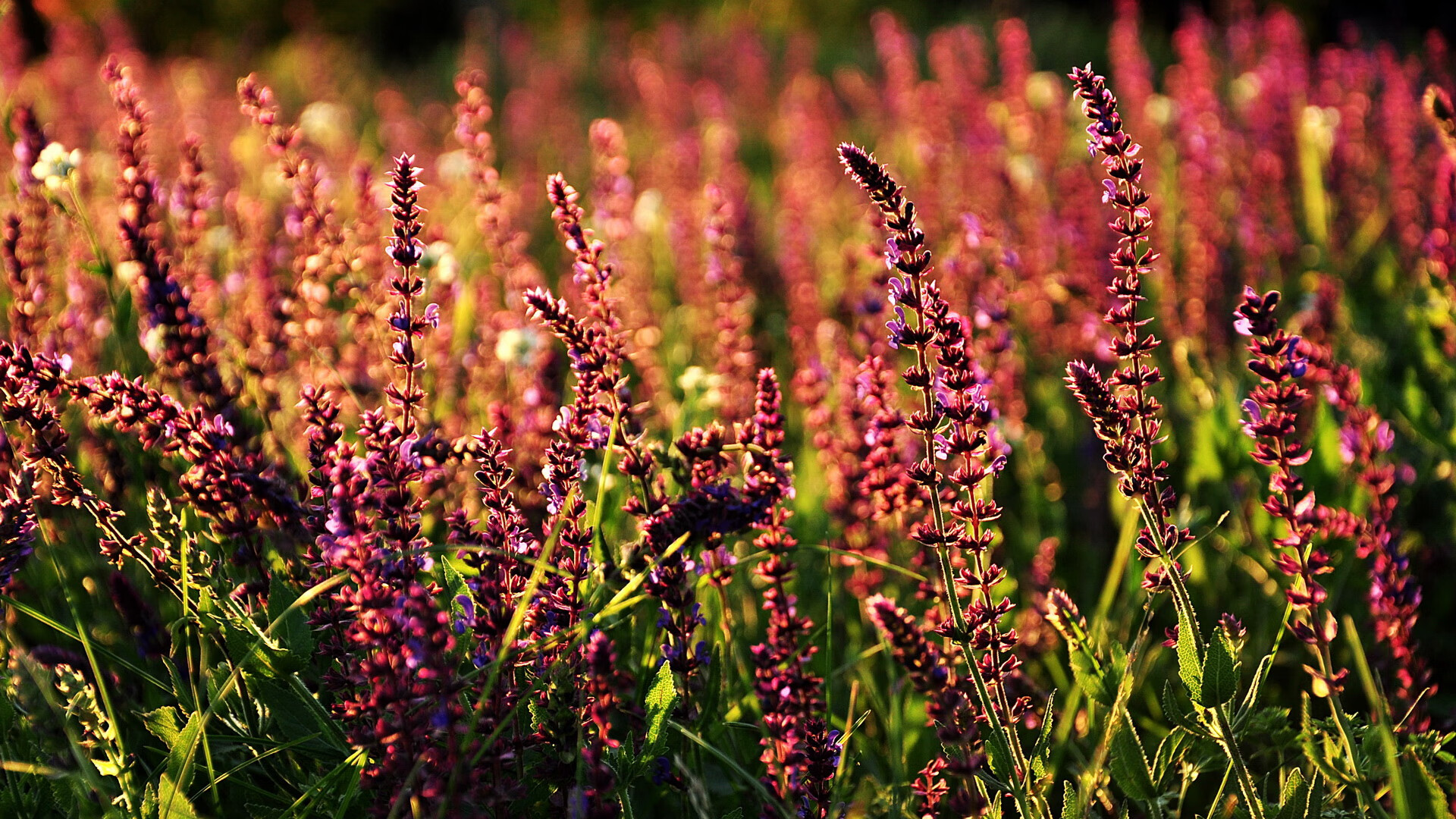 kaiyun网站-勇士压哨战胜凯尔特人，系列赛焦点战中库里砍下47分，2021年4月18日勇士vs凯尔特人