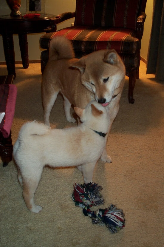 kaiyun开云·官方网站-国安青训成果显著，球队崛起成亮点