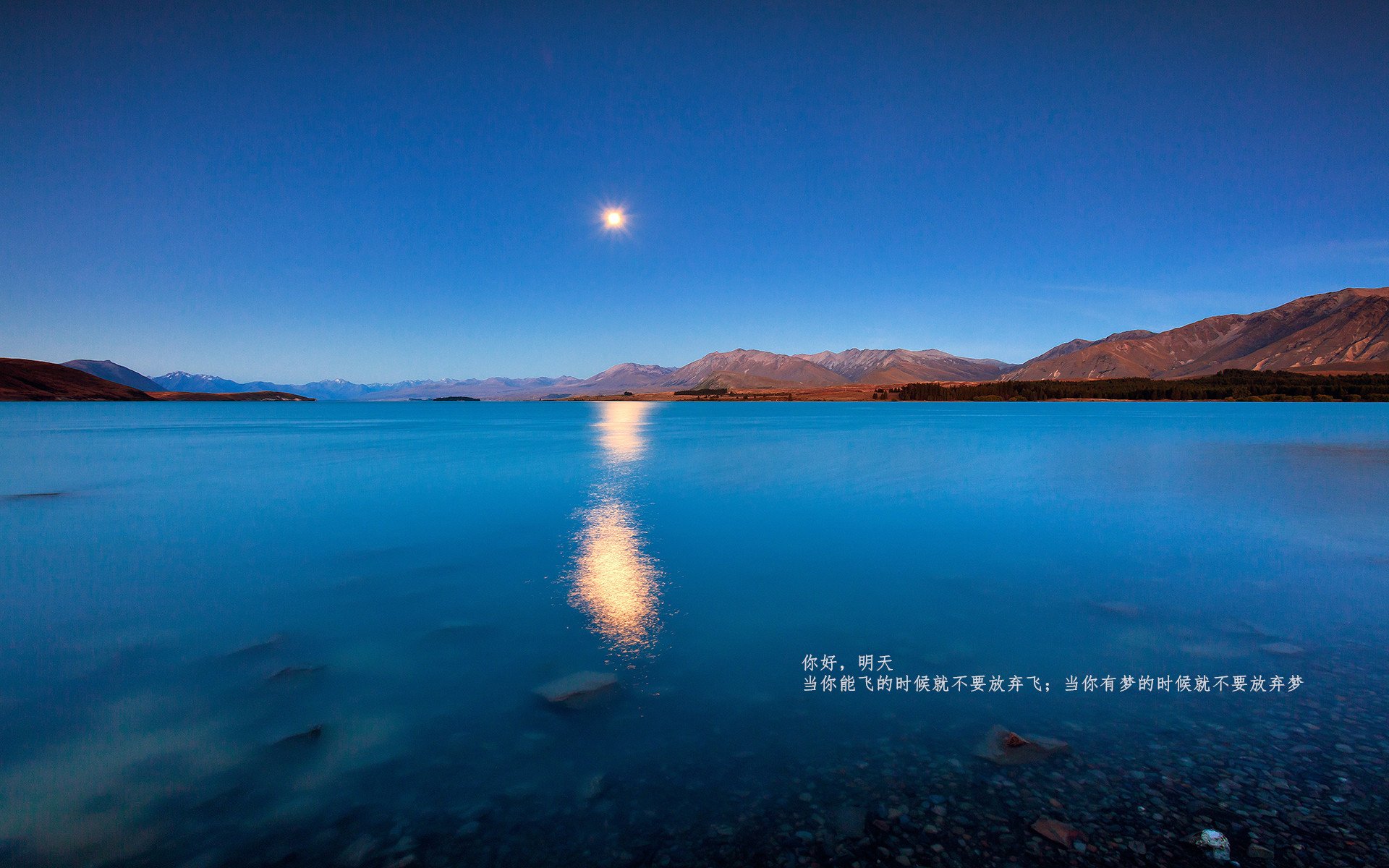 女足世界杯国际交流项目启动,女足进军世界杯