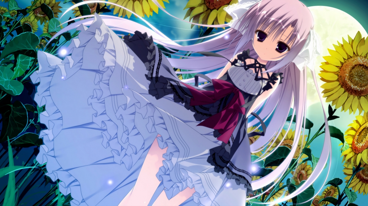 女足世界杯赛事营销策略探讨，女足世界杯关注度