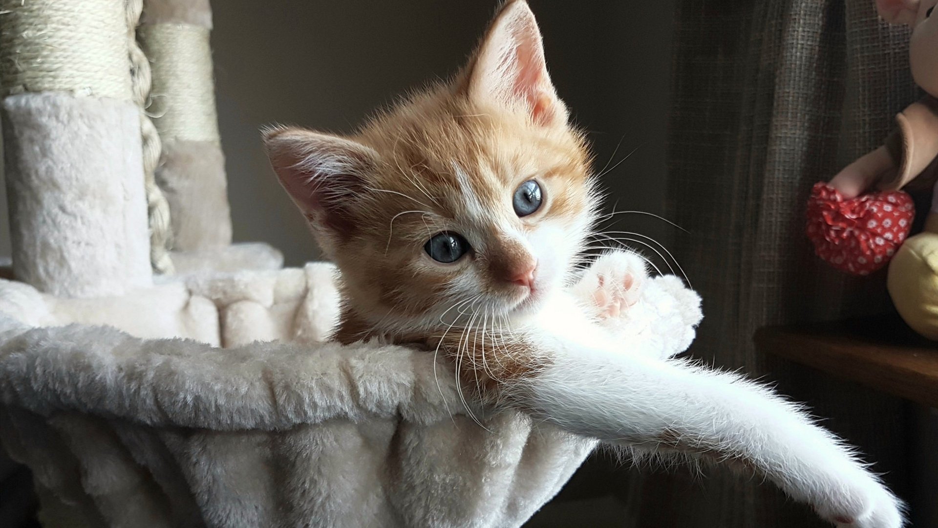 开云官网APP下载-格拉纳达实力碾压，轻取对手收获胜利，格拉纳达创纪录