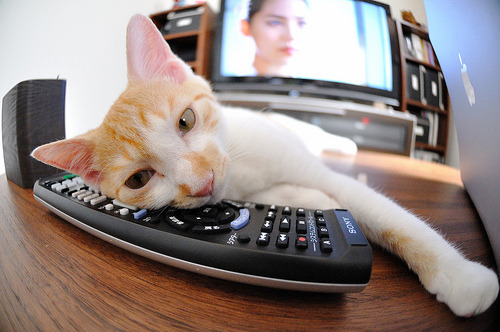 皇家马德里俱乐部签约法国前锋,引发球迷热议,皇家马德里法国球员