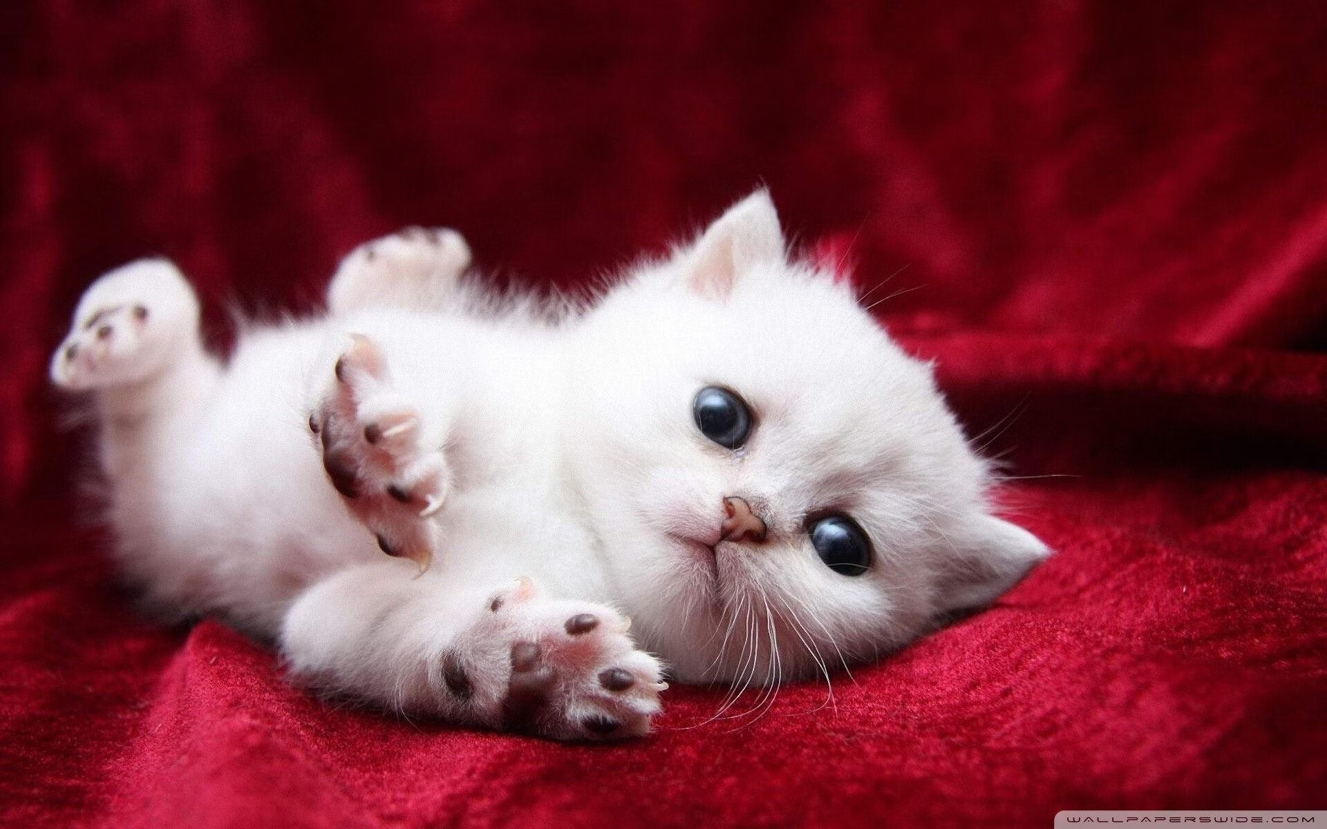 阿尔特塔在比赛中注重进攻转换,提升球队进攻效率,阿尔特塔合同