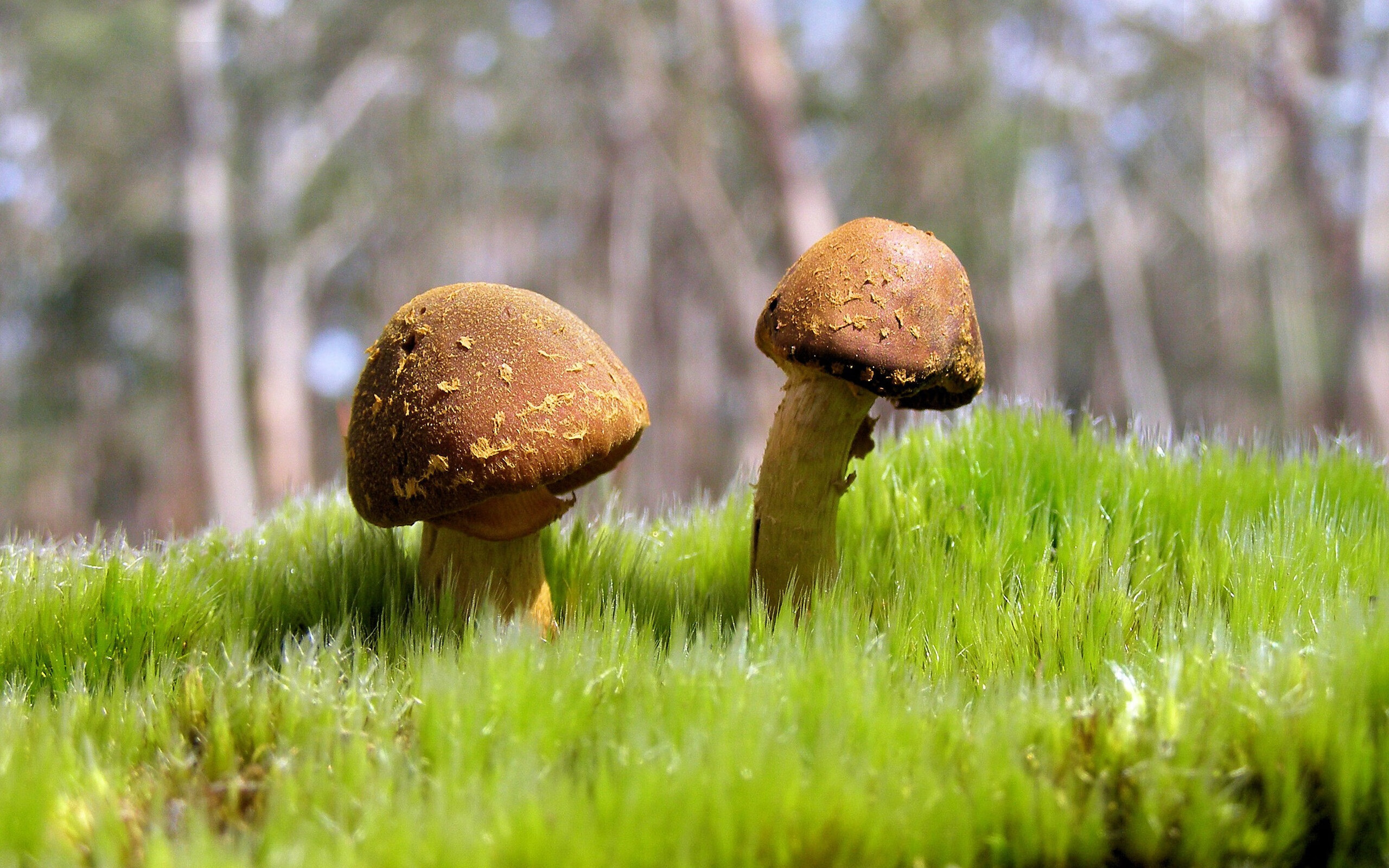 中国篮球联赛观众行为特征分析及市场营销方案,篮球比赛观众席哪个位置最好