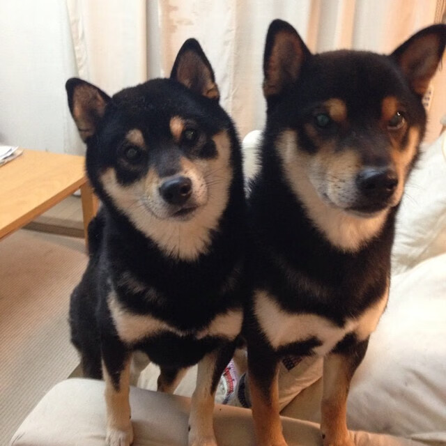 开云kaiyun-全国青少年趣味障碍趣味赛在北京圆满成功，儿童趣味障碍赛