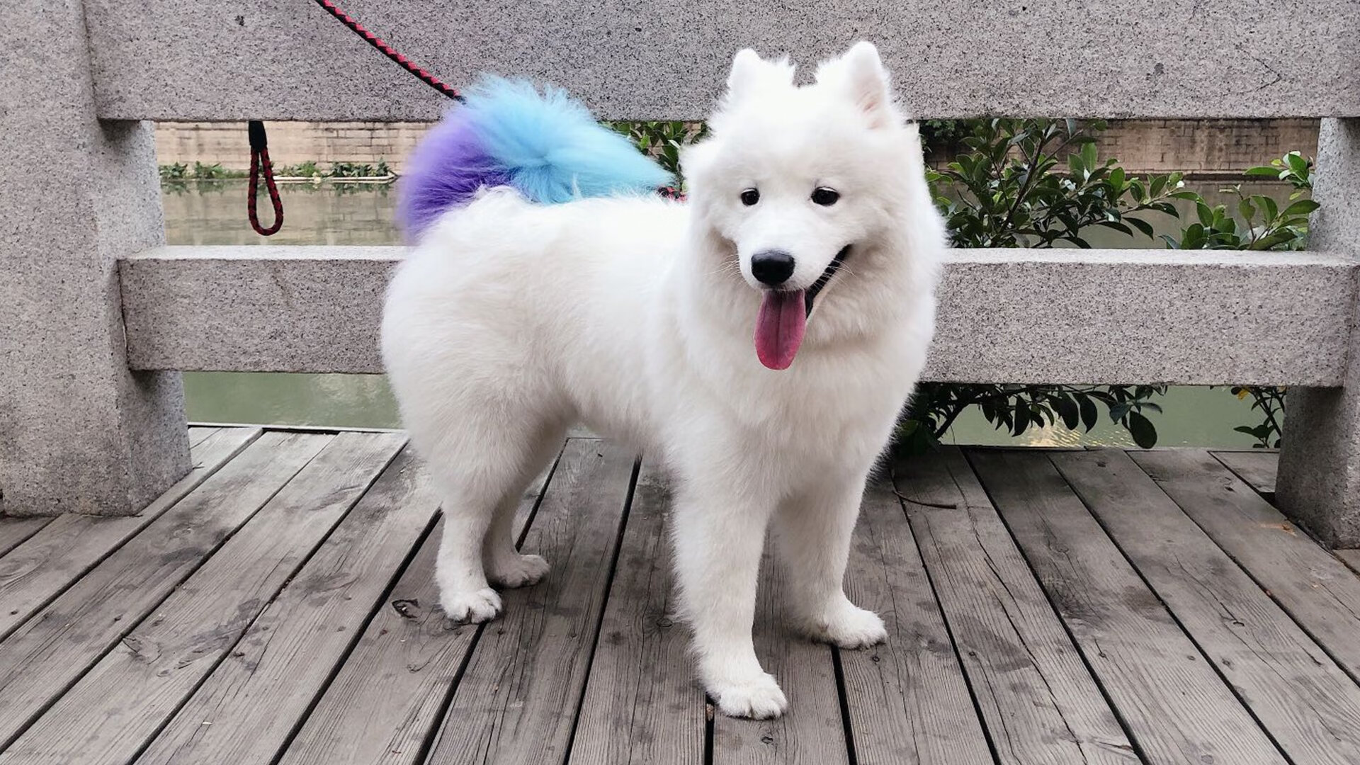 篮球专项训练中的体能负荷监控技术,篮球训练负荷特征有哪些