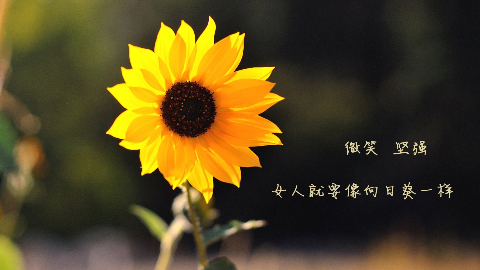 开云·Kaiyun网页版-五大联赛是否提升训练中对节奏变化模拟的覆盖面，五大联赛玩法