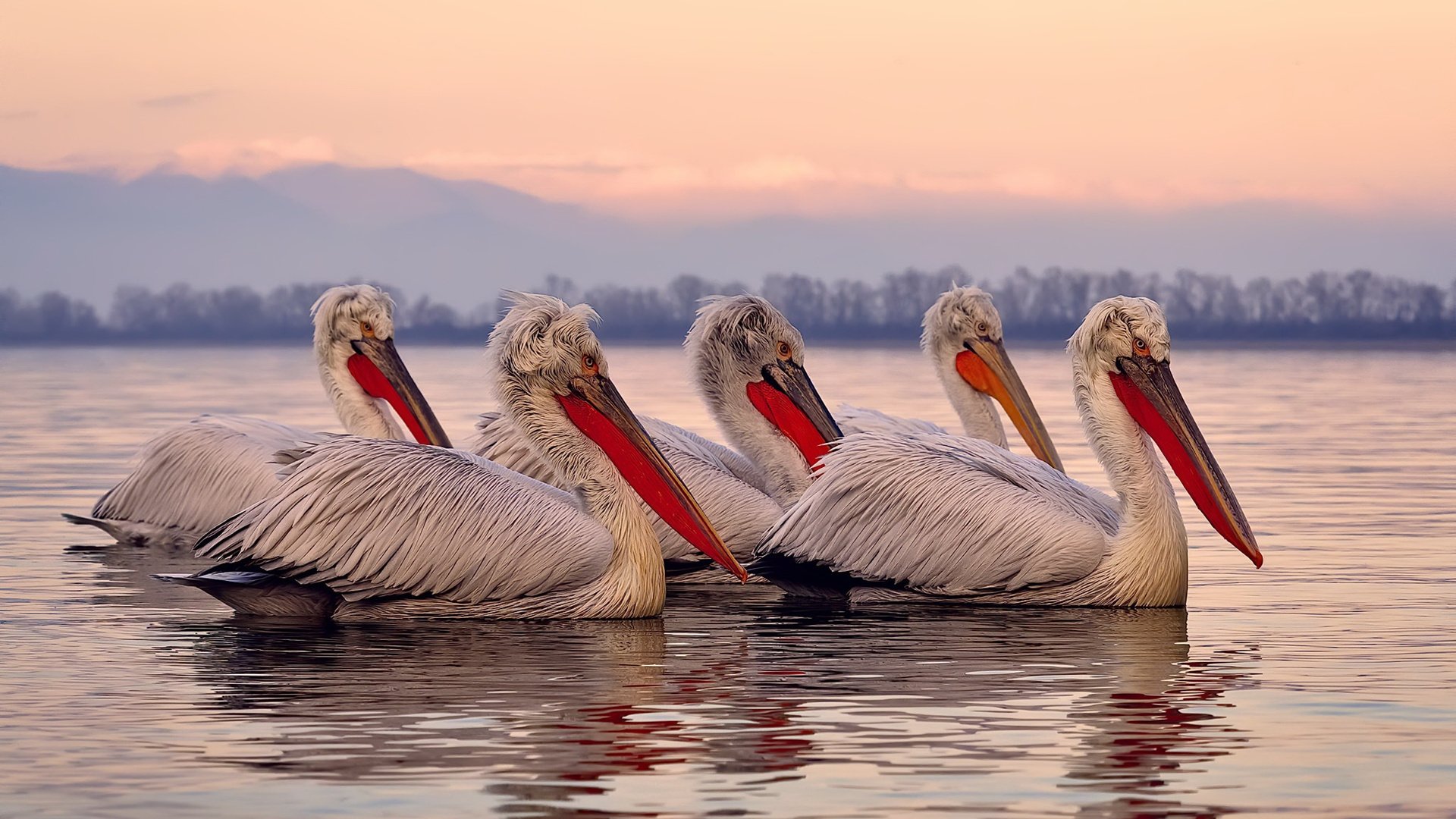 开云平台-体测新规促进学生全面发展，开展学生体测的意义