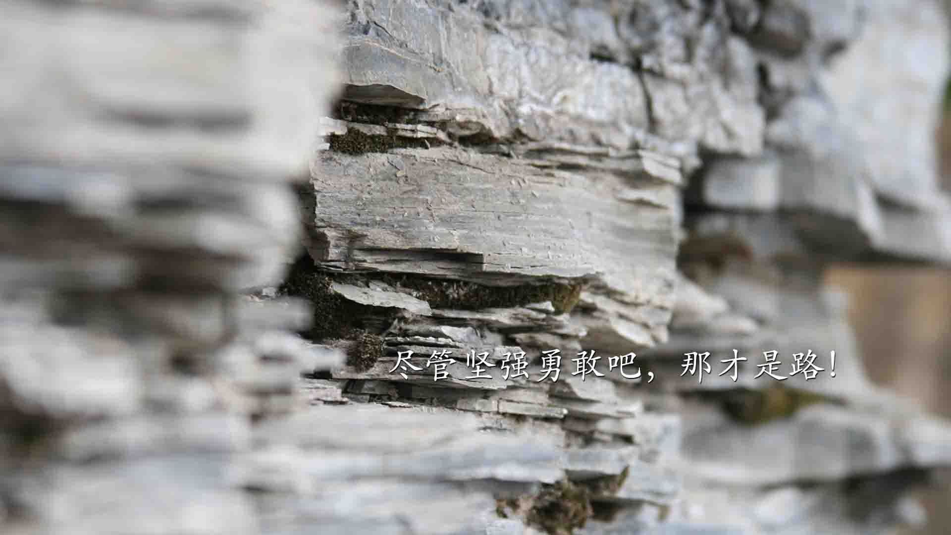 观众调查平台启用提升赛事服务体验，观众行为及兴趣调研分析