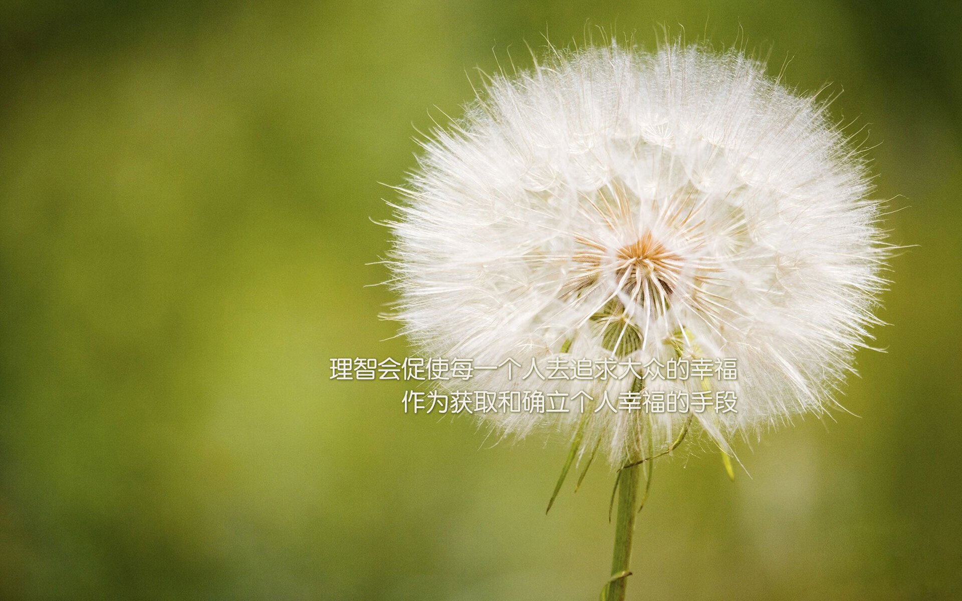 国际青少年足球交流合作不断深化,培养未来国际足球明星,国际青少年足球俱乐部