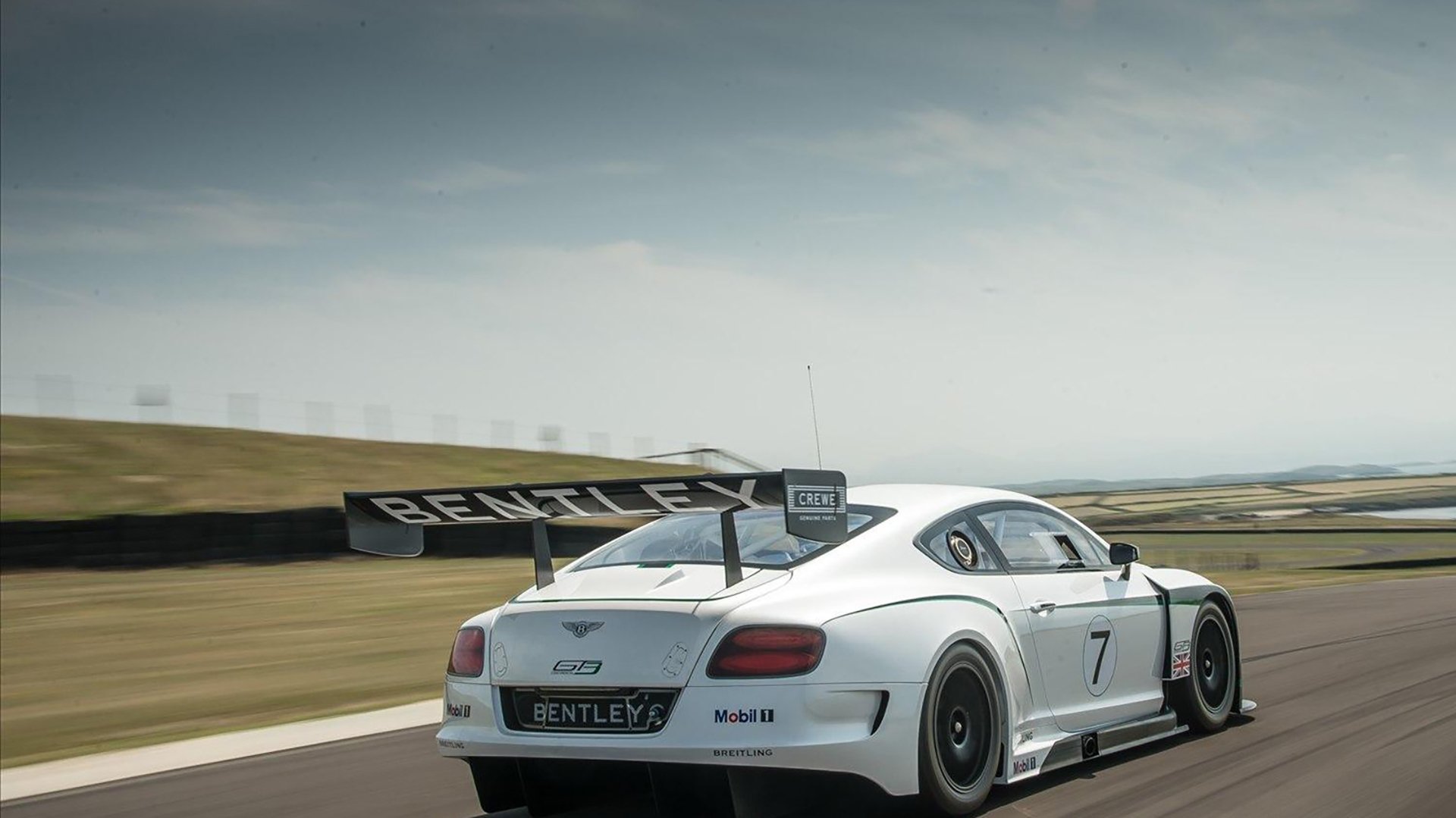 塔特的场上冷静与决断力,让袋鼠队充满信心