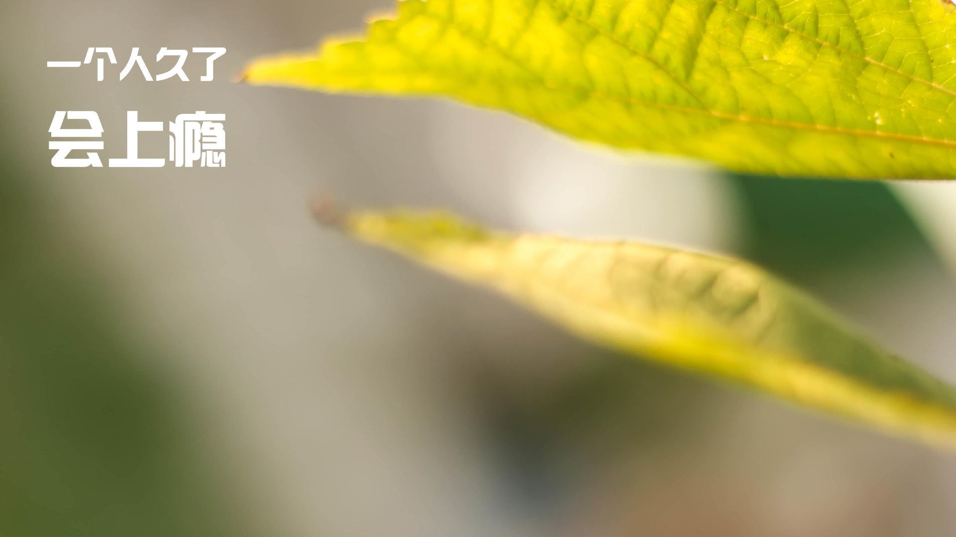 开云官网-快船锋线球员展现篮下终结能力受到称赞，快船巅峰时期球员名单