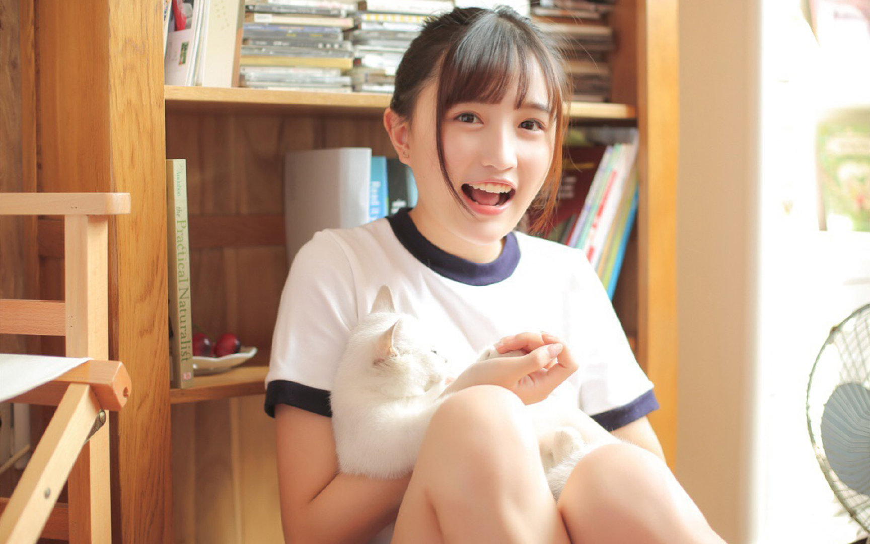 欧洲杯变阵佳兵:战术多变,令人期待!,欧洲杯s