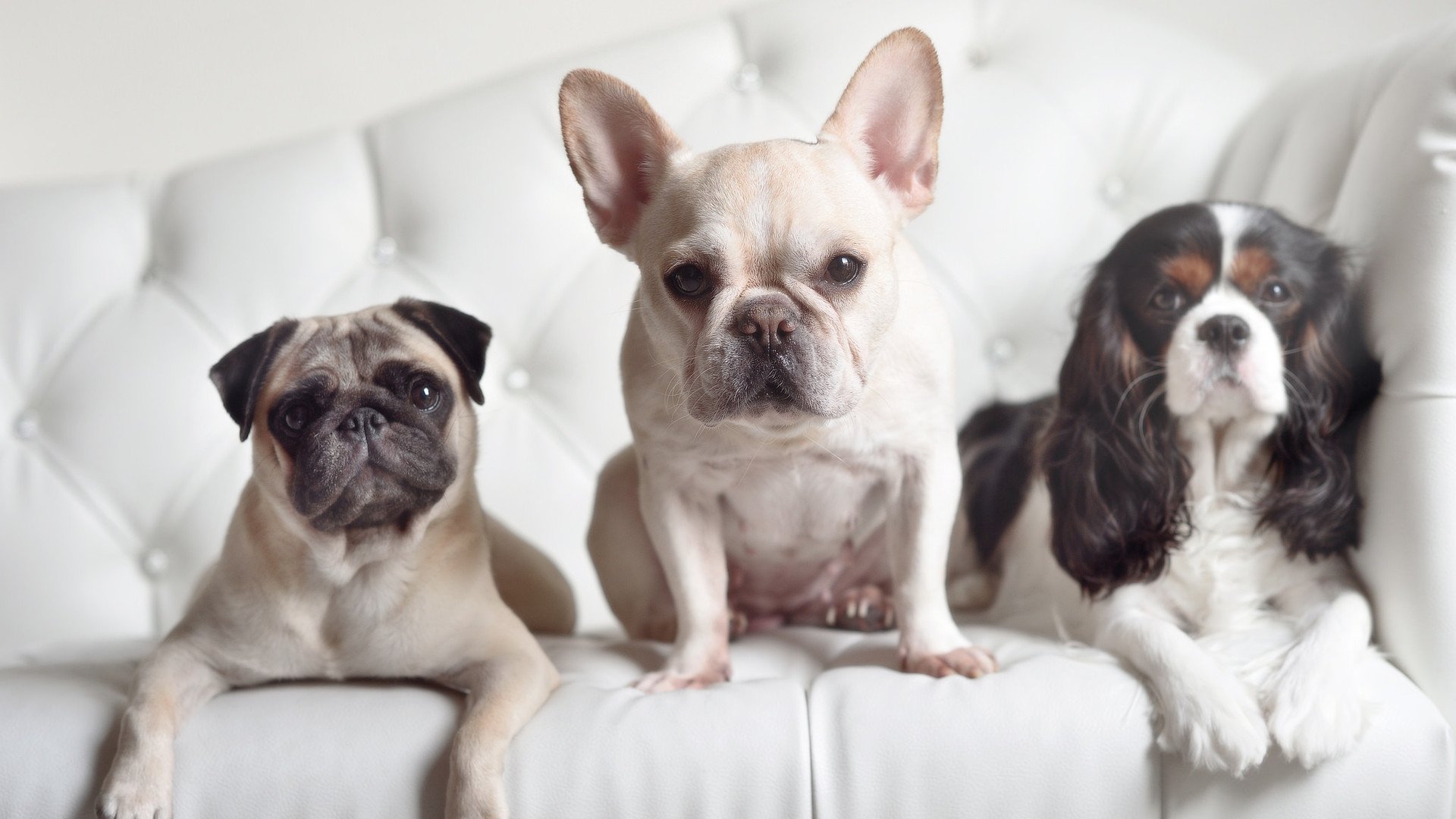 开云中国大陆-比赛中快速回防展现战术训练成果有效阻断对方进攻线路