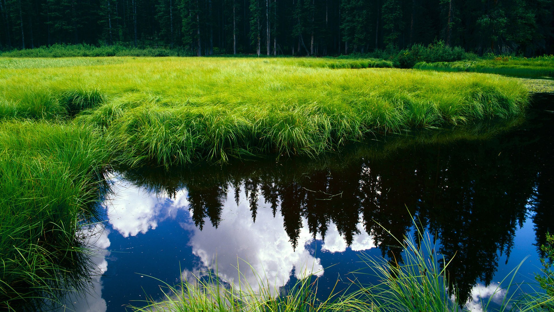 米切尔称团队更重视细节执行力,米切尔回应