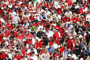 开云体育app-体育赛事观众满意度影响因素研究，体育赛事关注度